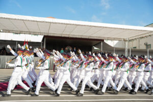 The Peshmerga: The Dialectic of Constitutional Legitimacy and Party Loyalties