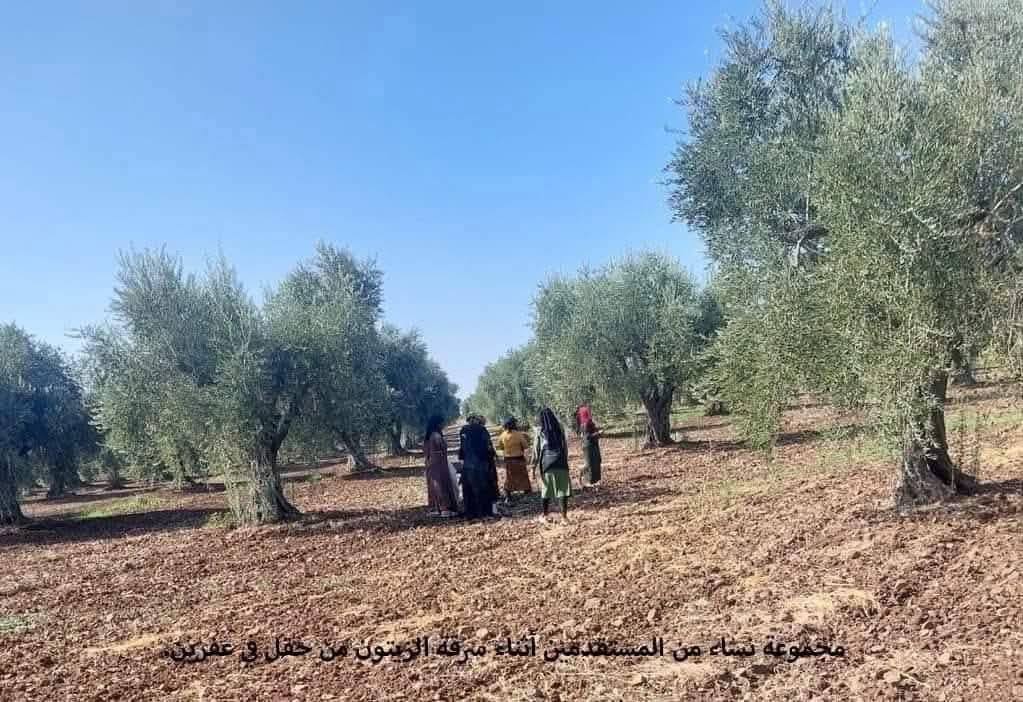 Human Rights Organization Afrin- Syria: Ongoing Seizure of Kurdish Civilian Property in Afrin Amid Absence of Accountability