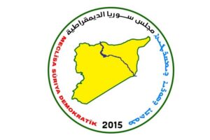 msd-logo